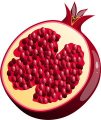 Slice of Pomegranate Fruit Illustration  