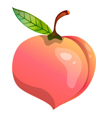 Peach Fruit Illustration 
