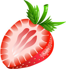 Slice of Strawberry Fruit Illustration  