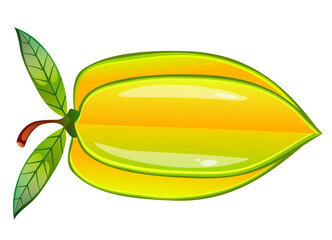 Star Fruit Illustration 