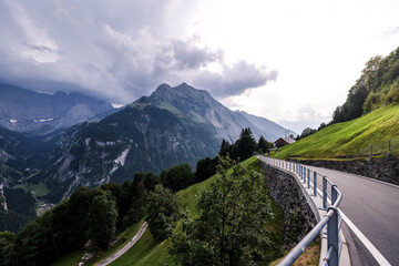 Montañas y praderas / Mountains & Meadows / Berge und Wiesen – carreteras alpinas con vacas al borde.