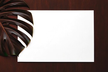 Large dark monstera leaf on a dark brown background with white paper