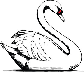 Elegant swan with curved neck, single stroke line art, romantic and graceful © MdRubel