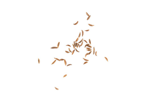 Brown cumin seeds flying, isolated aromatic spice grains with rich earthy texture and natural seasoning particles creating a dynamic herb explosion for food design and gourmet decoration