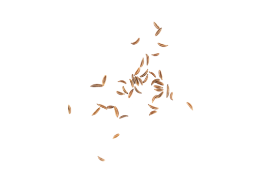 Brown cumin seeds flying, isolated aromatic spice grains with rich earthy texture and natural seasoning particles creating a dynamic herb explosion for food design and gourmet decoration