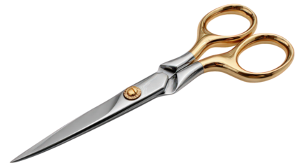 Elegant Gold And Silver Scissors