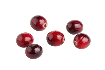 Red Cranberries on Transparent Background