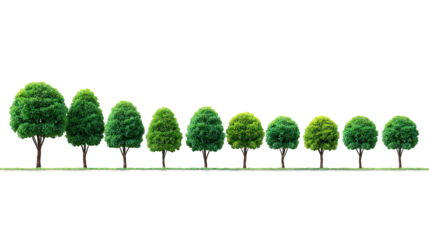 Row Of Different Sized Green Trees