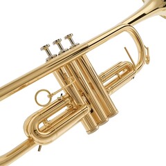 Obraz premium Golden Brass Trumpet Isolated Instrument