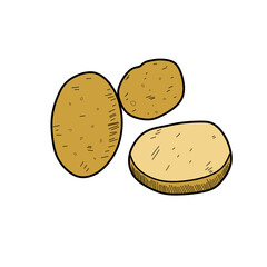 potato on white background