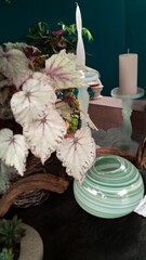 Table Decoration with Foliage and Vase