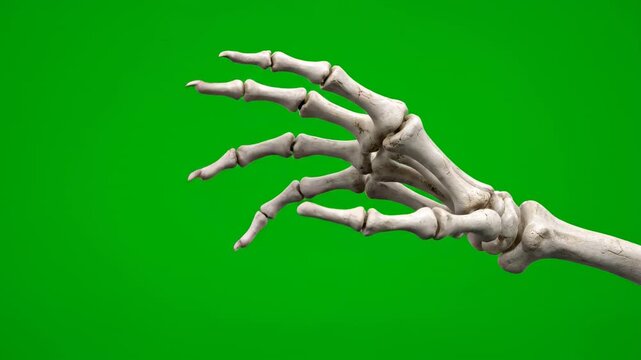 A boney skeletal hand reaching out, fingers wiggling, from the side on a green screen digital composite, reaching out, scary