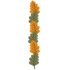 oak border leaf, autumn element