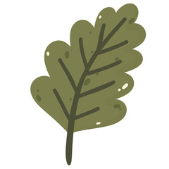 Green oak leaf