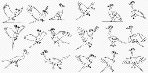 A collection of black and white line art illustrations depicting a feathered dinosaur in various dynamic poses, including standing, running, and wing movements.