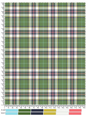 Green and white gingham checkered fabric pattern with a seamless textile texture like a picnic blanket or tablecloth