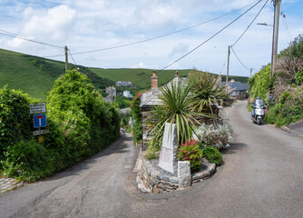 narrow streets and subtropical plants in cornish village of port isaac