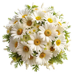 Obraz premium A beautiful tightly arranged bouquet of fresh white daisies with green foliage