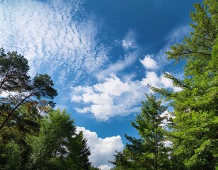 sky with white clouds and green trees