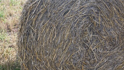 Close-up of a round hay bale in a field