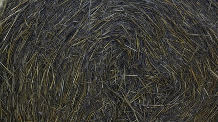 Close-Up of Tightly Packed Hay Bale