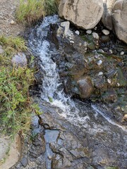 stream in the forest
