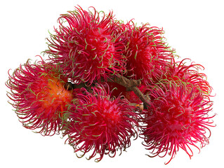 rambutan fruit isolated on white background