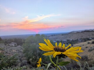 sunset in the mountains