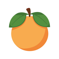 Orange Fruit with Green Leaves Vector Illustration