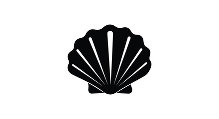 Detailed black seashell graphic illustration with striking radial lines silhouette © nhpvect02