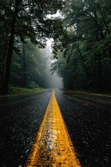 Fototapeta premium Rainy asphalt road disappearing into a misty, verdant forest, with a vibrant yellow center line reflecting wetness