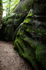 Exploring a moss-covered rock canyon surrounded by lush greenery in a quiet forest