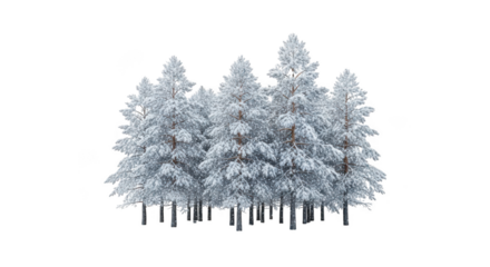 Whimsical pastel christmas trees icicles falling winter season transparent background