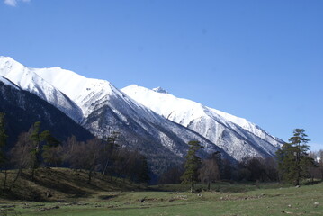 Fototapeta premium mountain landscape