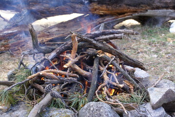 fire in the forest