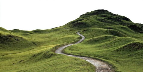 Winding path ascends a lush green hill
