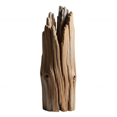 Weathered wood fragment with splintered top and knot details isolated on a transparent background driftwood