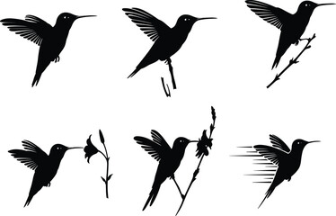 Hummingbird silhouette vector collection, flying bird design, flower feeding artwork, black animal clipart, nature illustration, decorative wildlife graphic, artistic drawing