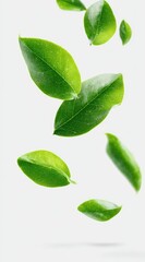 Obraz premium Vibrant green leaves falling against a clean white background, showcasing their glossy texture and varied shapes