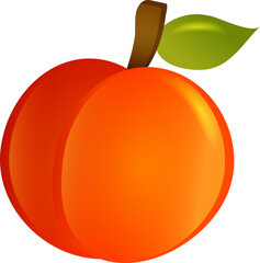 vector illustration of an apple