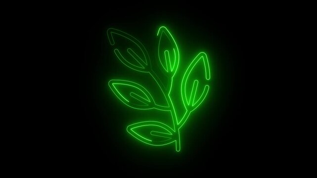 Neon line blue color Animated leaf icon with neon saber effect. black background.