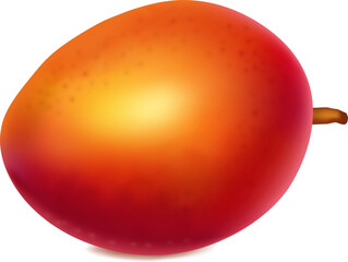  mango withe with white background