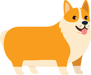 Fototapeta premium Cute cartoon a illustrator vector Corgi