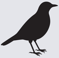 bird icon silhouette vector art illustration, crow on a white background