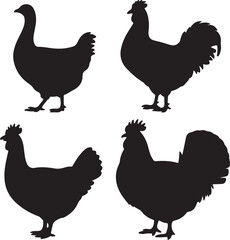set of Goose, Chicken, Rooster, Turkey silhouette vector on white background