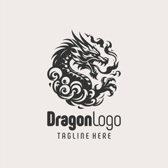 Unique Fire Dragon Logo Design
