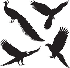 set of Peacock, Parrot, Eagle, Hawk silhouette vector on white background