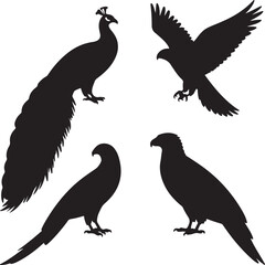 set of Peacock, Parrot, Eagle, Hawk silhouette vector on white background