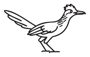 Fototapeta premium Black and white roadrunner illustration with bold lines and distinct features - stock vector