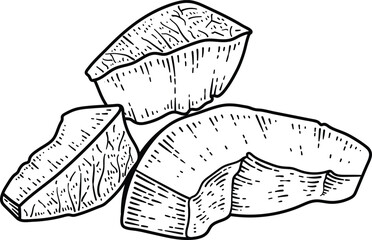 hand drawn vector illustration of a coconut
